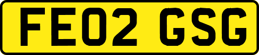 FE02GSG