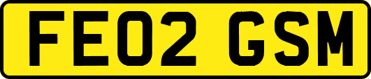 FE02GSM