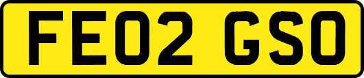 FE02GSO