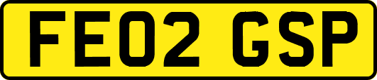 FE02GSP