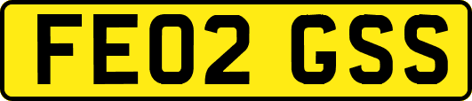 FE02GSS