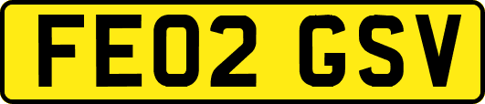 FE02GSV