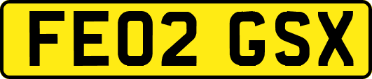 FE02GSX