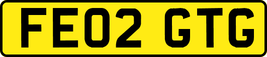 FE02GTG