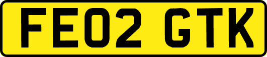 FE02GTK
