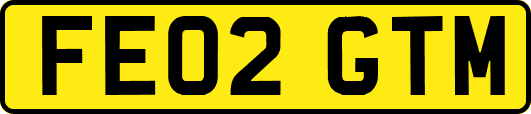 FE02GTM