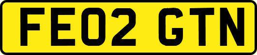 FE02GTN