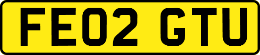 FE02GTU