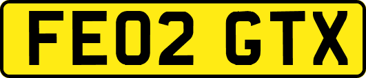 FE02GTX