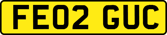 FE02GUC