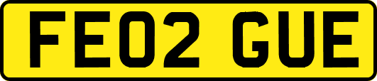 FE02GUE