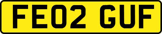 FE02GUF