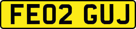 FE02GUJ