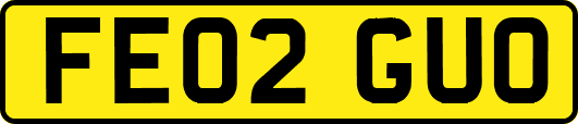FE02GUO