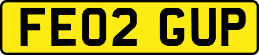 FE02GUP