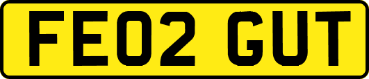 FE02GUT