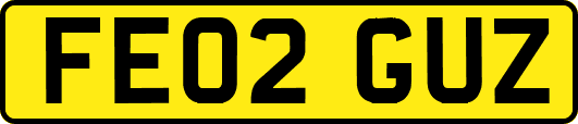 FE02GUZ