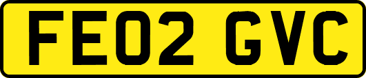FE02GVC