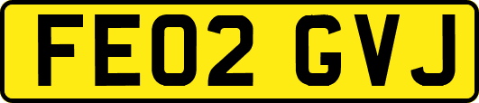FE02GVJ