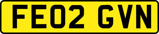 FE02GVN