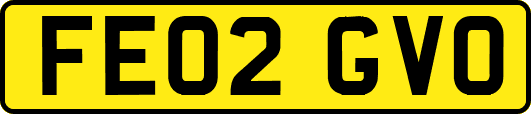 FE02GVO