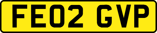 FE02GVP