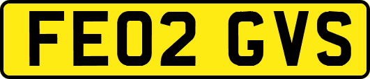 FE02GVS