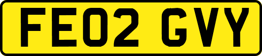 FE02GVY