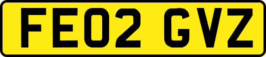 FE02GVZ