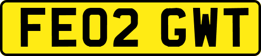 FE02GWT