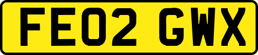 FE02GWX
