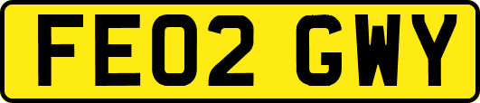 FE02GWY