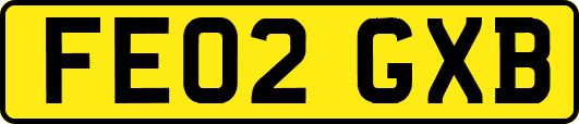 FE02GXB