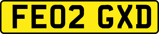 FE02GXD