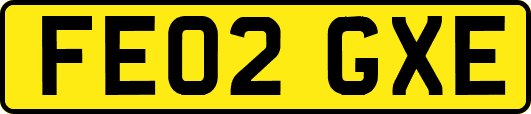 FE02GXE