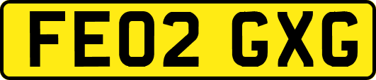 FE02GXG