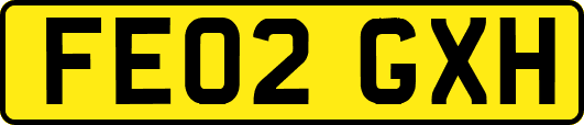 FE02GXH