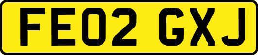 FE02GXJ