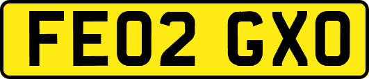 FE02GXO