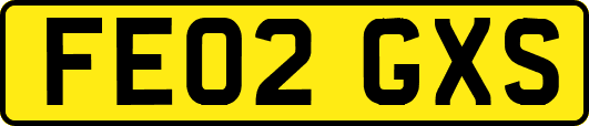 FE02GXS
