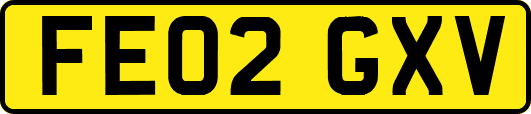 FE02GXV