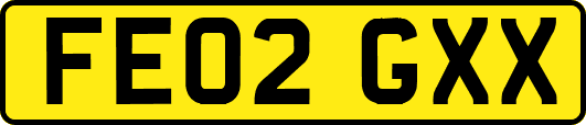 FE02GXX