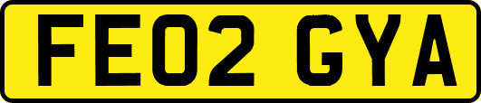FE02GYA