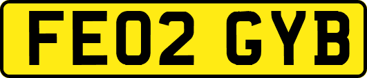 FE02GYB