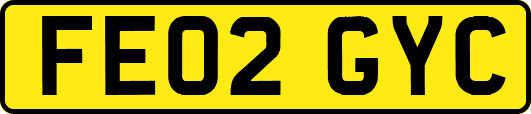 FE02GYC