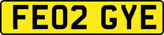 FE02GYE