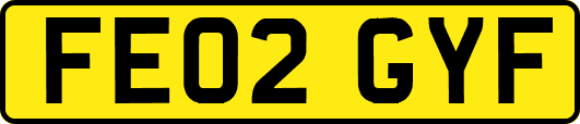 FE02GYF