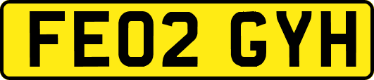 FE02GYH