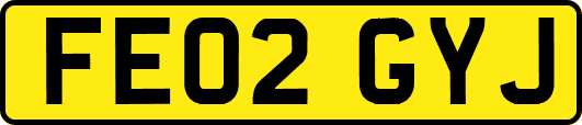 FE02GYJ