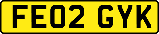 FE02GYK